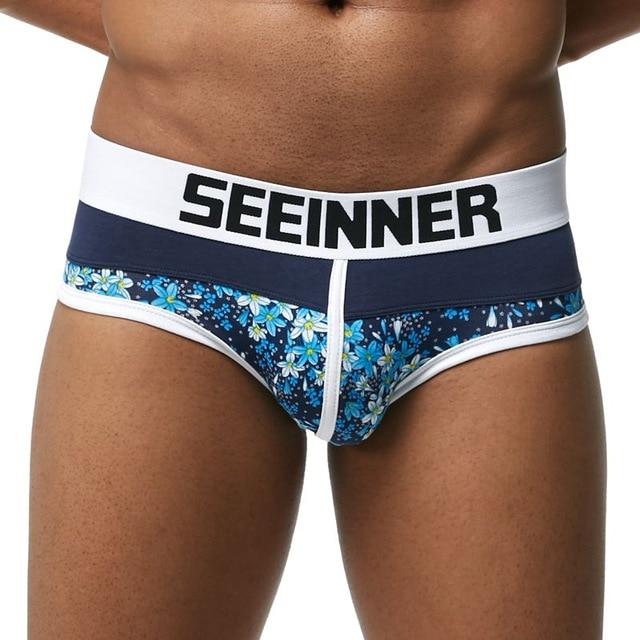 briefs Cotton Striped Sexy men briefs slips Male panties Underwear