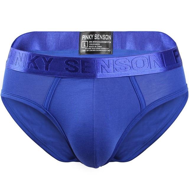 briefs Cotton Striped Sexy men briefs slips Male panties Underwear