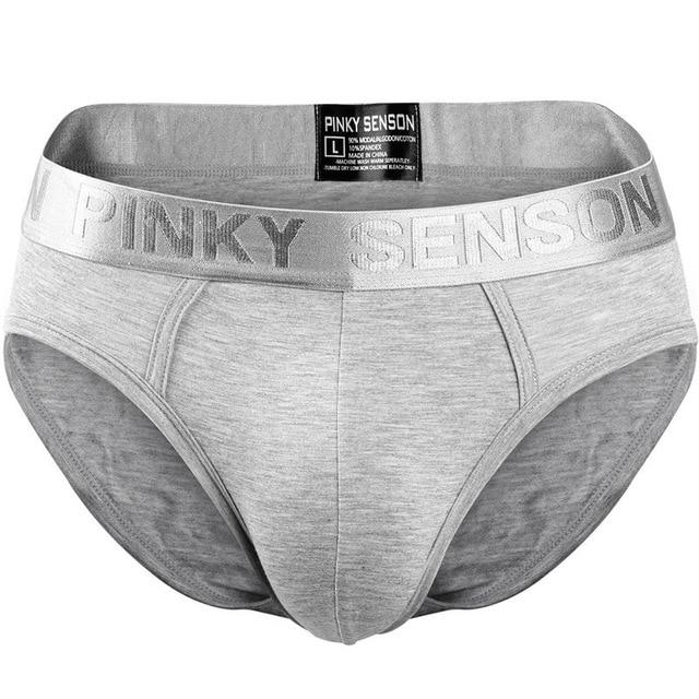 briefs Cotton Striped Sexy men briefs slips Male panties Underwear