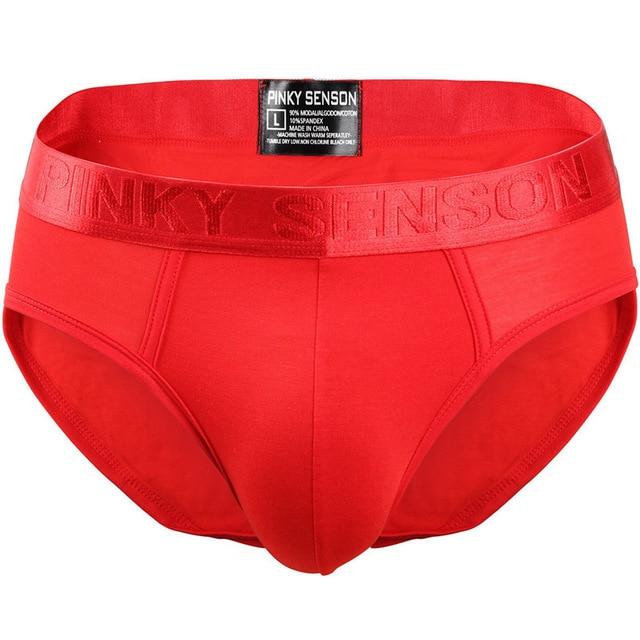 briefs Cotton Striped Sexy men briefs slips Male panties Underwear