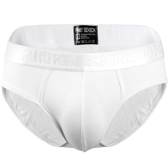 briefs Cotton Striped Sexy men briefs slips Male panties Underwear