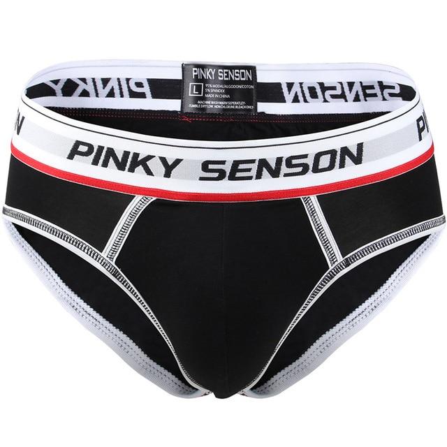 briefs Cotton Striped Sexy men briefs slips Male panties Underwear