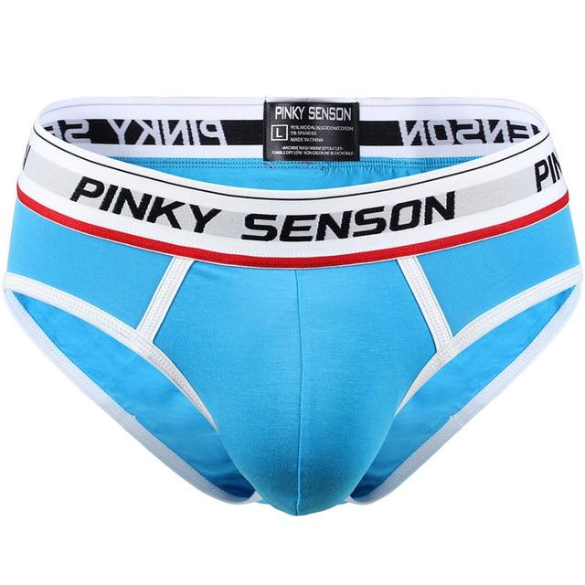 briefs Cotton Striped Sexy men briefs slips Male panties Underwear