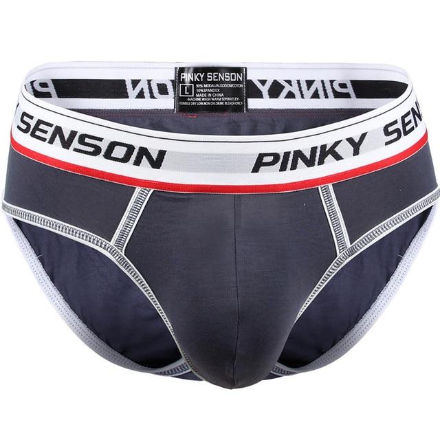 briefs Cotton Striped Sexy men briefs slips Male panties Underwear