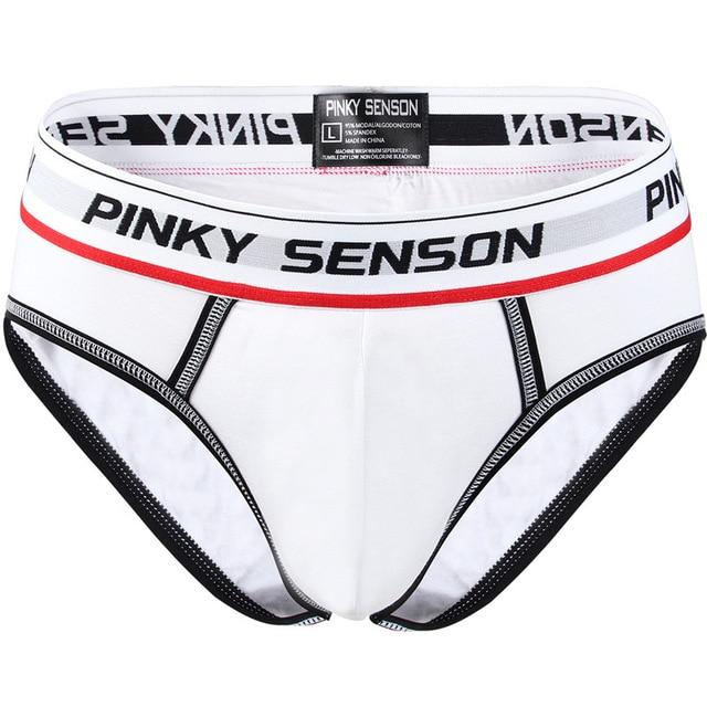 briefs Cotton Striped Sexy men briefs slips Male panties Underwear