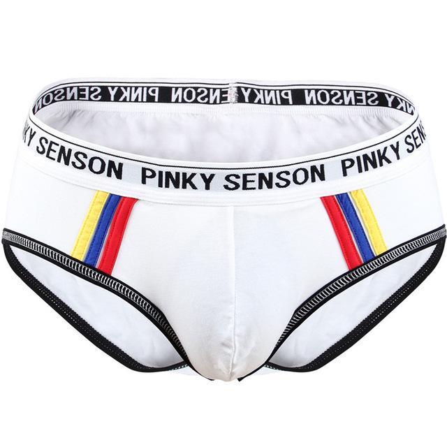 briefs Cotton Striped Sexy men briefs slips Male panties Underwear