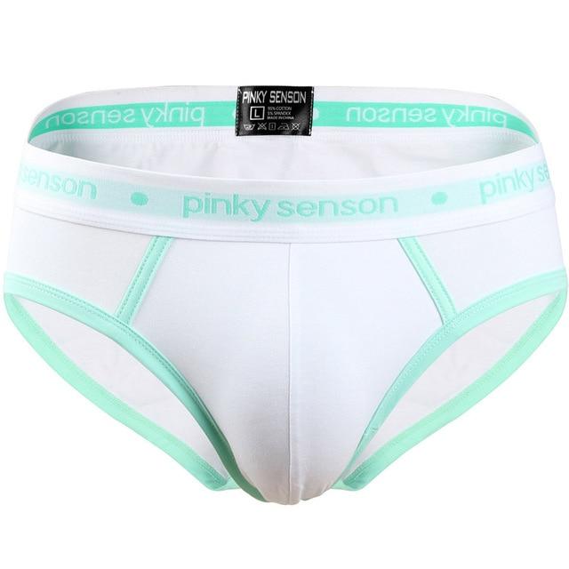 briefs Cotton Striped Sexy men briefs slips Male panties Underwear