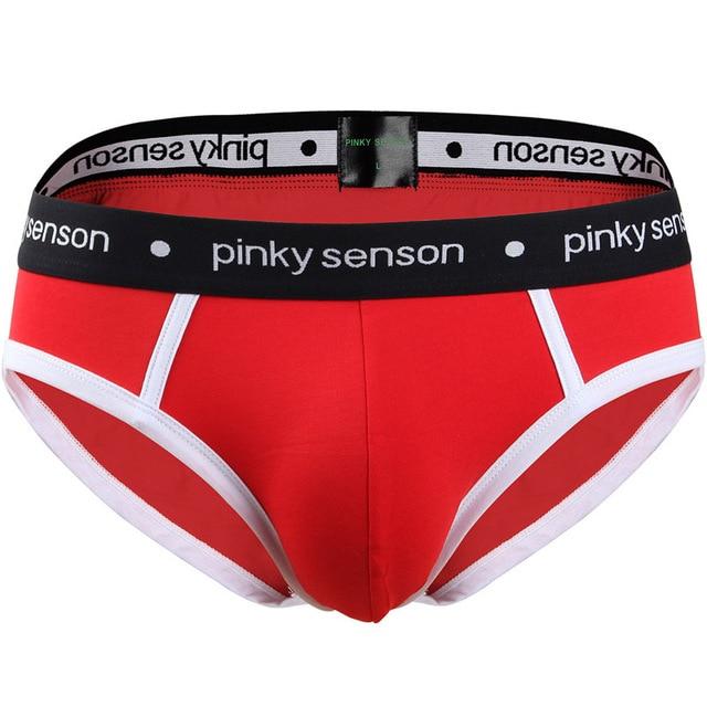 briefs Cotton Striped Sexy men briefs slips Male panties Underwear