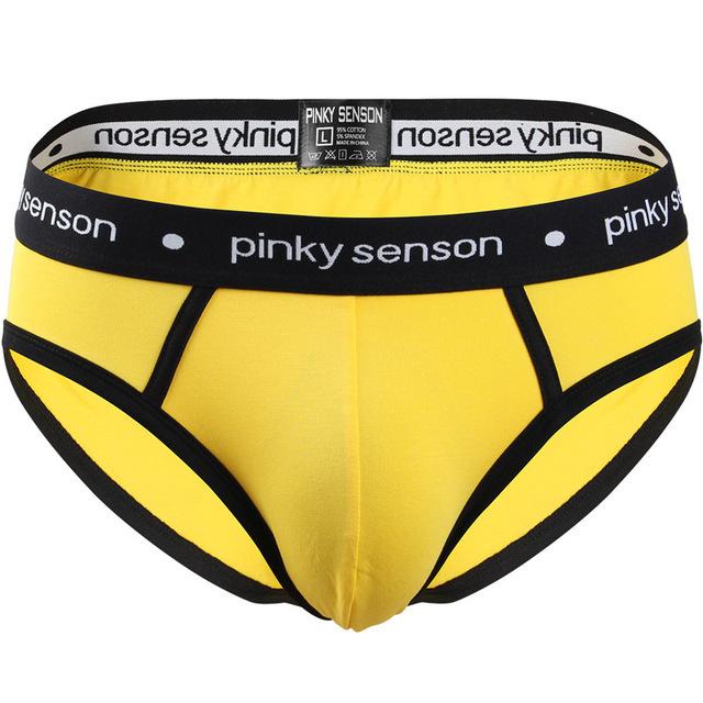briefs Cotton Striped Sexy men briefs slips Male panties Underwear
