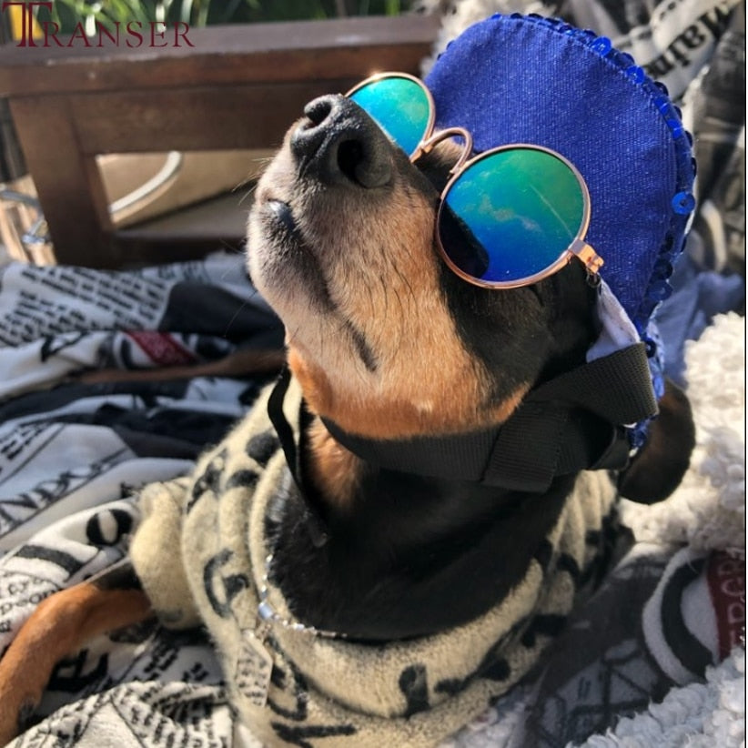 UV Cat Dog Sunglasses Eye Protection Wear Cats Grooming