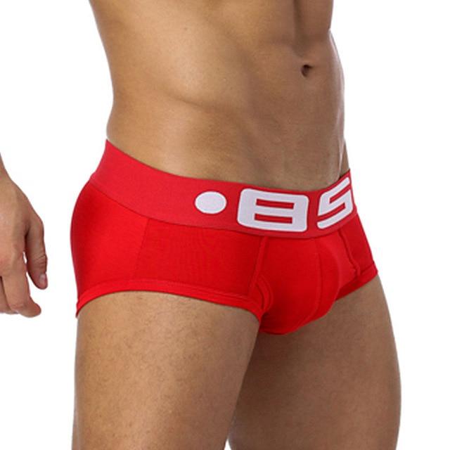 CMENIN Sexy Men Underwear Men Briefs Mesh Underpants